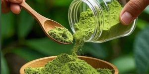 Natural Moringa Powder