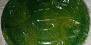 13Inch Printed Paper Plate