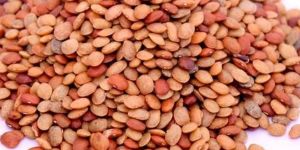 Organic Split Horse Gram