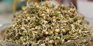 Organic Sprouted Moong