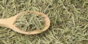 Sea Buckthorn Dry Leave