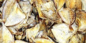 Dry Silver Belly Fish