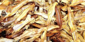 Dried White Anchovies Fish