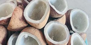 Dried Copra Coconut