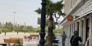 Decorative Lighting Pole