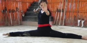 indian martial art training