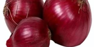 Red Onion