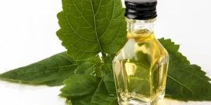 Patchouli Fragrance Oil