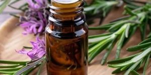 Rosemary Essential Oil