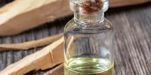 Sandalwood Fragrance Oil