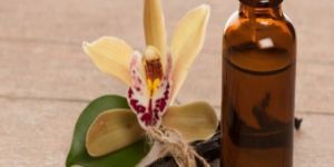 Vanilla Fragrance Oil