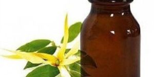 Ylang Ylang Essential Oil
