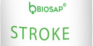 Stroke Herbal Capsules