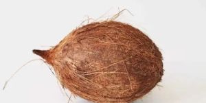 Coconut