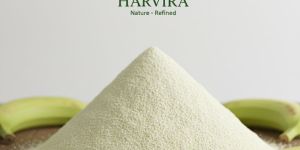 G9 Green Banana Powder