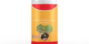 Phosphate Solubilizing Bacteria