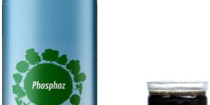 Phosphate Solubilizing Fungal Biofertilizer