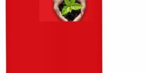 Potash Mobilizing Biofertilizer