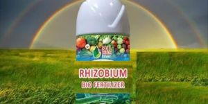 Rhizobium Biofertilizer
