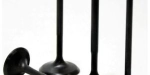 Stainless Steel Inlet And Exhaust Valve