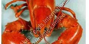 Frozen Lobster