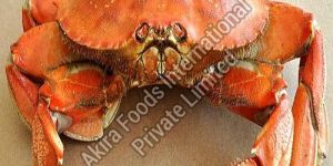 High Quality Frozen Crab