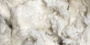 Flat Strips Cotton Waste