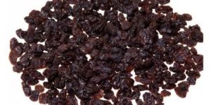 Seedless Black Raisins