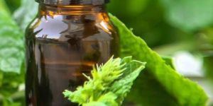 Holy Basil Essential Oils