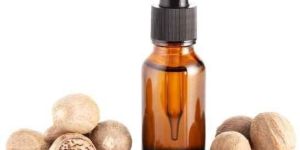 Nutmeg Essential Oils