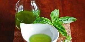 Ocimum Sanctum Tulsi