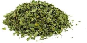 Oregano Oleoresin
