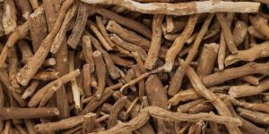 Withania Somnifera Ashwagandha