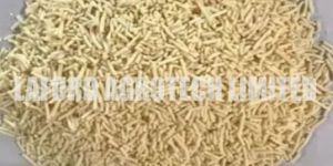 Thiamethoxam 75% SG Insecticide