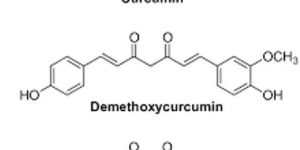 Curcumin Extract