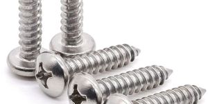 Pan Phillips Self Tapping Screw