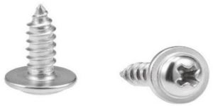 Phillips Washer Self Tapping Screw