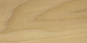 Poplar Wood