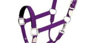 Purple Horse Nylon Halter