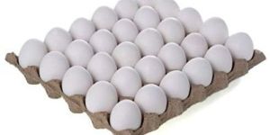 Poultry Eggs