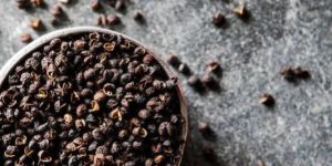 Black Pepper Seeds