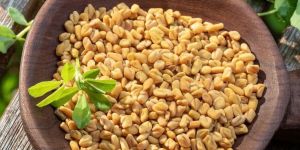 Fenugreek Seeds