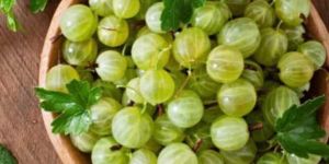 Indian Gooseberry