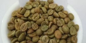 Robusta Cherry AA Coffee Beans