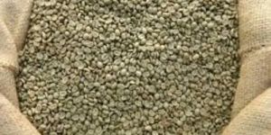 Robusta Cherry AAA Green Coffee Bean