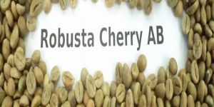 Robusta Cherry AB Coffee Beans