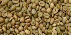 Robusta Cherry C Coffee Beans