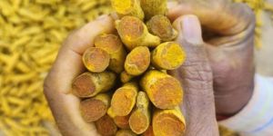 Turmeric Products