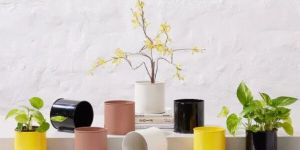 ZING - SHELF PLANTER