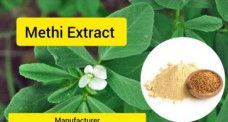 Fevikri Methi Extract